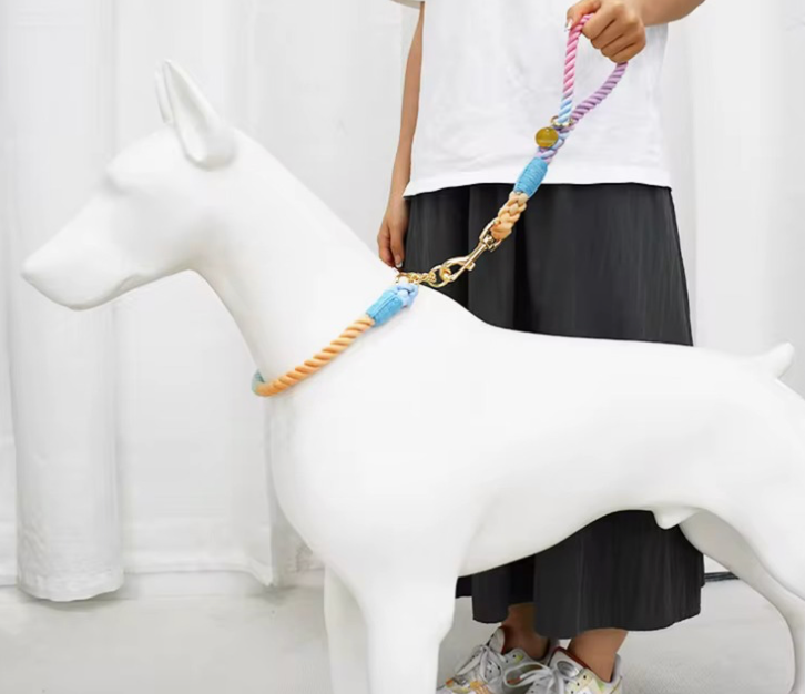 ⭐️NEW ITEM⭐️ BRAIDED DOG LEASH AND COLLAR SET