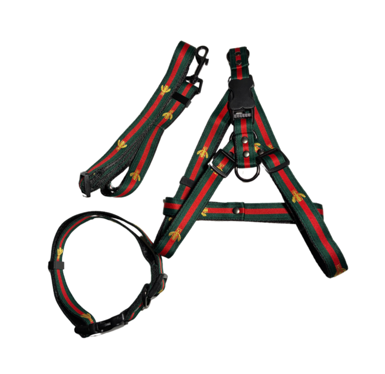 LUXURY DESIGNER DOG HARNESS SET (3PCS)